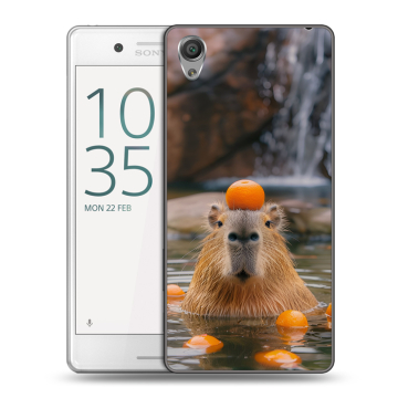 Пластиковый чехол на Sony Xperia X Performance с принтом Капибара с апельсином Пластиковый чехол на Sony Xperia X Performance с принтом Капибара с апельсином