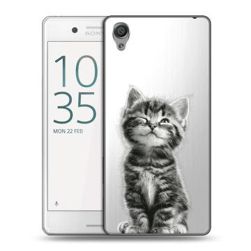 Пластиковый чехол на Sony Xperia X Performance с принтом Котенок Пластиковый чехол на Sony Xperia X Performance с принтом Котенок