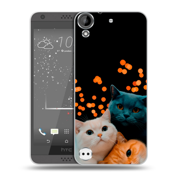 Пластиковый чехол на HTC Desire 630 с принтом Кошки