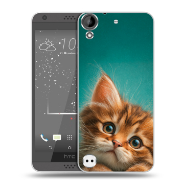 Пластиковый чехол на HTC Desire 630 с принтом котенок Пластиковый чехол на HTC Desire 630 с принтом котенок