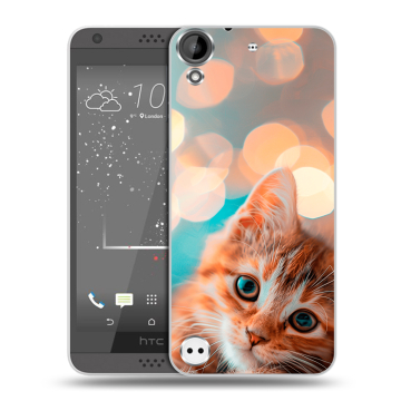 Пластиковый чехол на HTC Desire 630 с принтом котик Пластиковый чехол на HTC Desire 630 с принтом котик
