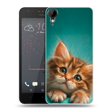 Пластиковый чехол на HTC Desire 825 с принтом котенок