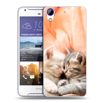 Пластиковый чехол на HTC Desire 830 с принтом Котята
