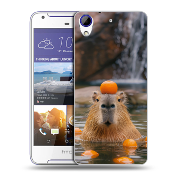 Пластиковый чехол на HTC Desire 830 с принтом Капибара с апельсином