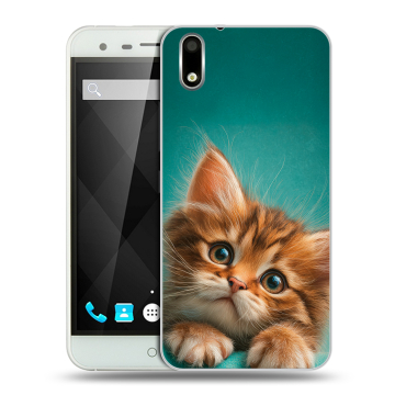 Пластиковый чехол на Ulefone Paris с принтом котенок Пластиковый чехол на Ulefone Paris с принтом котенок