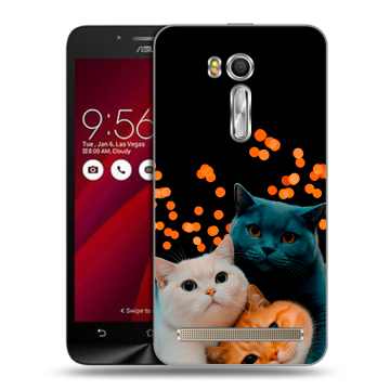 Пластиковый чехол на ASUS ZenFone Go 5.5 с принтом Кошки