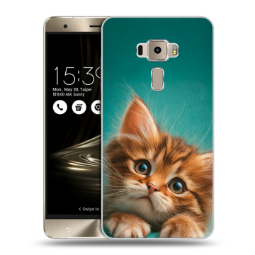 Пластиковый чехол на Asus ZenFone 3 с принтом котенок