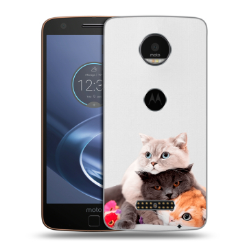 Пластиковый чехол на Lenovo Moto Z с принтом Кошки