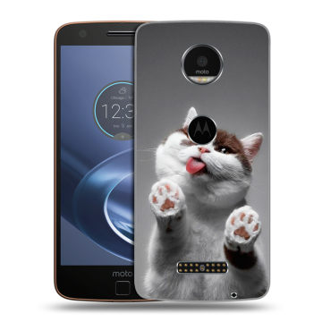 Пластиковый чехол на Lenovo Moto Z с принтом Коты