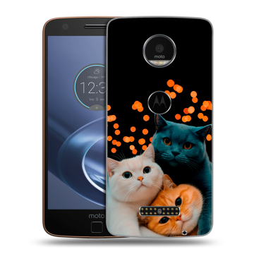 Пластиковый чехол на Lenovo Moto Z с принтом Кошки