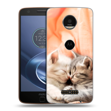 Пластиковый чехол на Lenovo Moto Z с принтом Котята