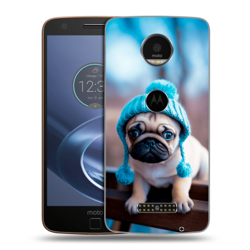 Пластиковый чехол на Lenovo Moto Z с принтом Мопс в шапке