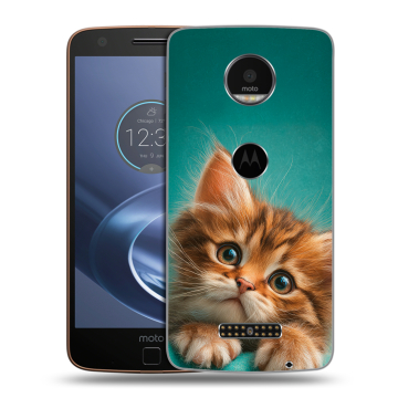 Пластиковый чехол на Lenovo Moto Z с принтом котенок