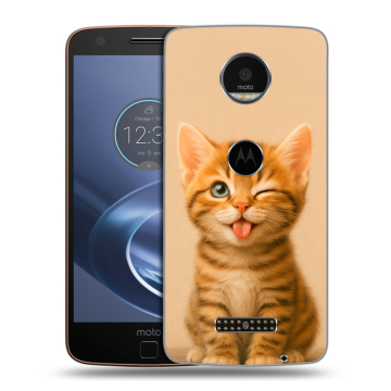 Пластиковый чехол на Lenovo Moto Z с принтом котенок