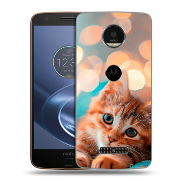 Пластиковый чехол на Lenovo Moto Z с принтом котик