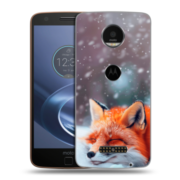 Пластиковый чехол на Lenovo Moto Z с принтом лиса