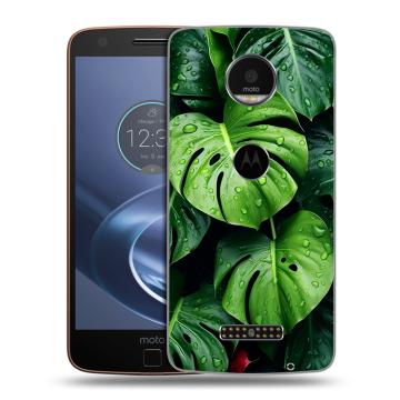 Пластиковый чехол на Lenovo Moto Z с принтом Листья