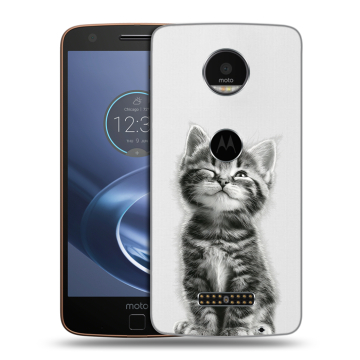 Пластиковый чехол на Lenovo Moto Z с принтом Котенок