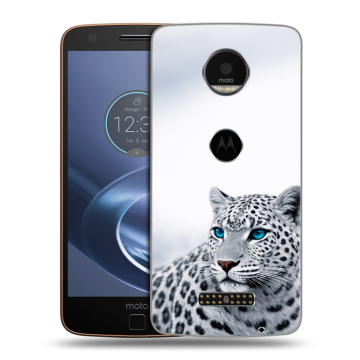 Пластиковый чехол на Lenovo Moto Z с принтом женский
