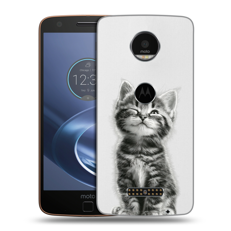 Пластиковый чехол на Lenovo Moto Z с принтом Котенок Пластиковый чехол на Lenovo Moto Z с принтом Котенок