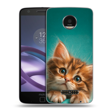 Пластиковый чехол на Lenovo Moto Z Force с принтом котенок Пластиковый чехол на Lenovo Moto Z Force с принтом котенок
