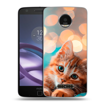 Пластиковый чехол на Lenovo Moto Z Force с принтом котик Пластиковый чехол на Lenovo Moto Z Force с принтом котик