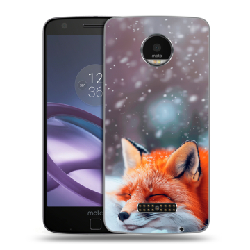 Пластиковый чехол на Lenovo Moto Z Force с принтом лиса Пластиковый чехол на Lenovo Moto Z Force с принтом лиса