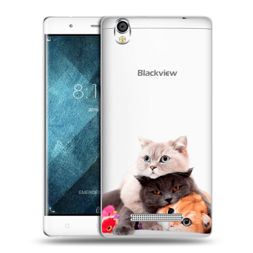 Пластиковый чехол на Blackview A8 с принтом Кошки Пластиковый чехол на Blackview A8 с принтом Кошки