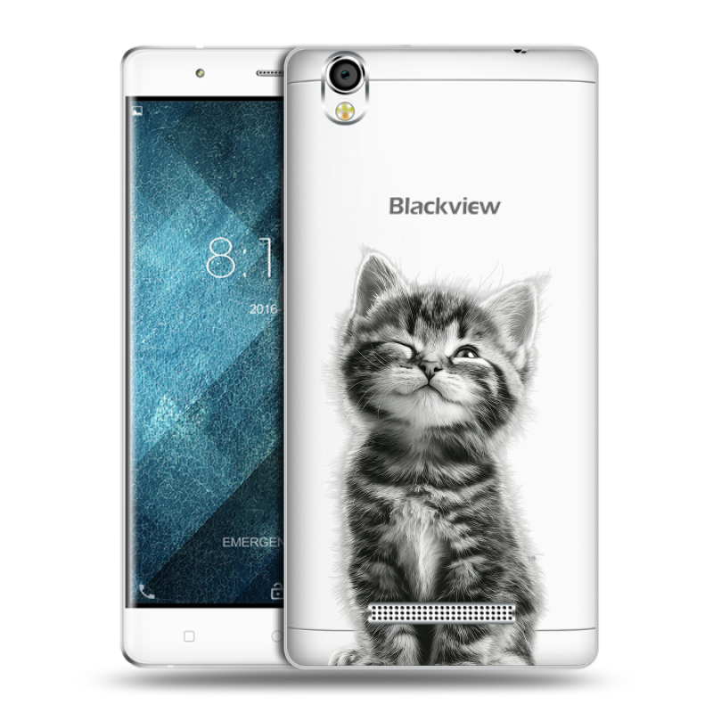 Пластиковый чехол на Blackview A8 с принтом Котенок Пластиковый чехол на Blackview A8 с принтом Котенок