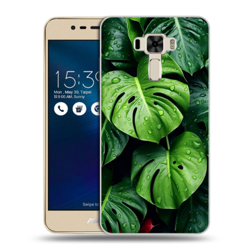 Силиконовый чехол на Asus ZenFone 3 Laser с принтом Листья Силиконовый чехол на Asus ZenFone 3 Laser с принтом Листья
