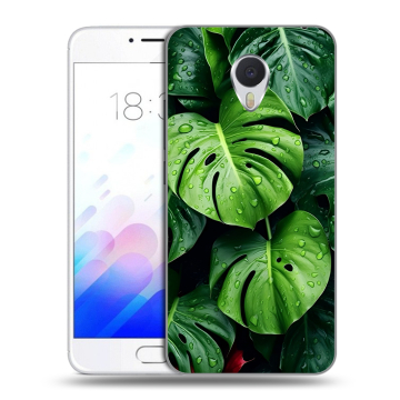Пластиковый чехол на Meizu M3E с принтом Листья