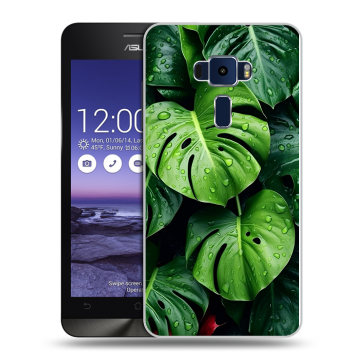 Пластиковый чехол на Asus ZenFone 3 5.2 с принтом Листья