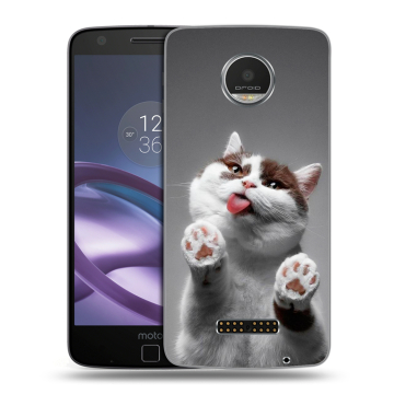 Пластиковый чехол на Lenovo Moto Z Play с принтом Коты