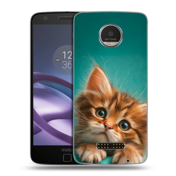 Пластиковый чехол на Lenovo Moto Z Play с принтом котенок