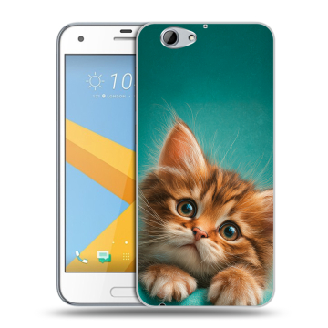 Пластиковый чехол на HTC One A9S с принтом котенок Пластиковый чехол на HTC One A9S с принтом котенок