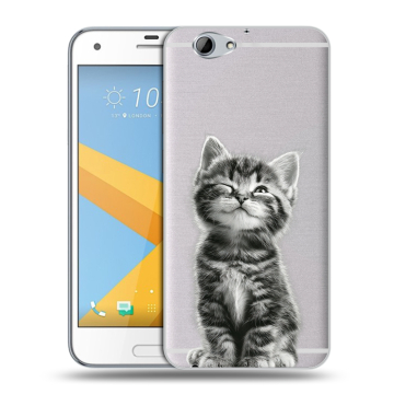 Пластиковый чехол на HTC One A9S с принтом Котенок Пластиковый чехол на HTC One A9S с принтом Котенок