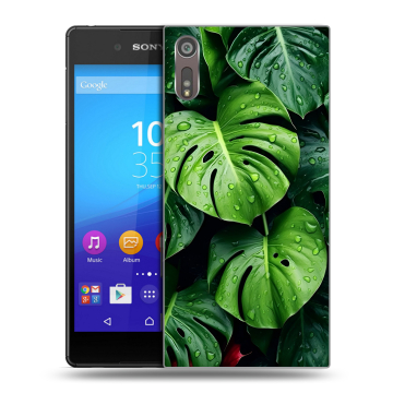 Пластиковый чехол на Sony Xperia XZ с принтом Листья Пластиковый чехол на Sony Xperia XZ с принтом Листья