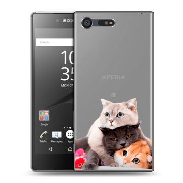 Пластиковый чехол на Sony Xperia X Compact с принтом Кошки