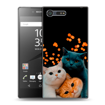 Пластиковый чехол на Sony Xperia X Compact с принтом Кошки