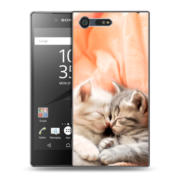 Пластиковый чехол на Sony Xperia X Compact с принтом Котята Пластиковый чехол на Sony Xperia X Compact с принтом Котята