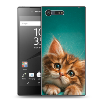 Пластиковый чехол на Sony Xperia X Compact с принтом котенок Пластиковый чехол на Sony Xperia X Compact с принтом котенок