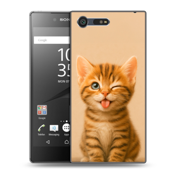 Пластиковый чехол на Sony Xperia X Compact с принтом котенок Пластиковый чехол на Sony Xperia X Compact с принтом котенок