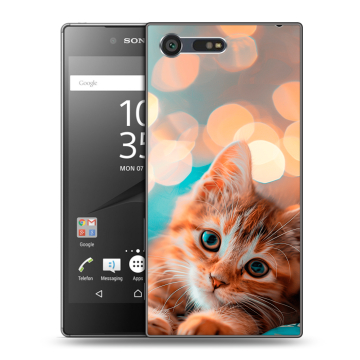 Пластиковый чехол на Sony Xperia X Compact с принтом котик Пластиковый чехол на Sony Xperia X Compact с принтом котик