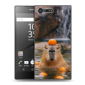 Пластиковый чехол на Sony Xperia X Compact с принтом Капибара с апельсином Пластиковый чехол на Sony Xperia X Compact с принтом Капибара с апельсином