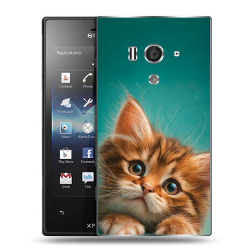 Пластиковый чехол на Sony Xperia acro S с принтом котенок