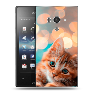 Пластиковый чехол на Sony Xperia acro S с принтом котик