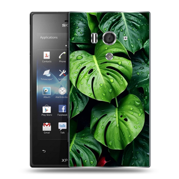 Пластиковый чехол на Sony Xperia acro S с принтом Листья