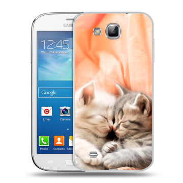 Пластиковый чехол на Samsung Galaxy Premier с принтом Котята Пластиковый чехол на Samsung Galaxy Premier с принтом Котята