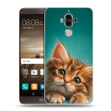 Пластиковый чехол на Huawei Mate 9 с принтом котенок Пластиковый чехол на Huawei Mate 9 с принтом котенок