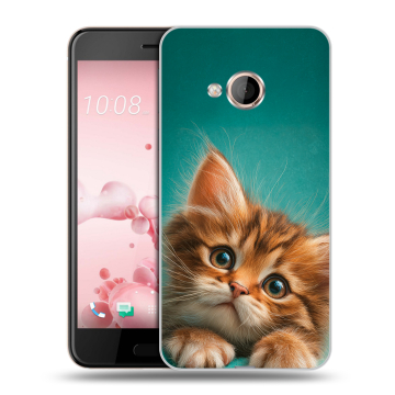 Пластиковый чехол на HTC U Play с принтом котенок Пластиковый чехол на HTC U Play с принтом котенок